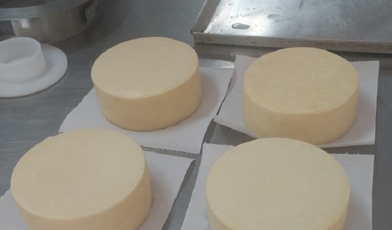 Primeiro curso pratico de queijo