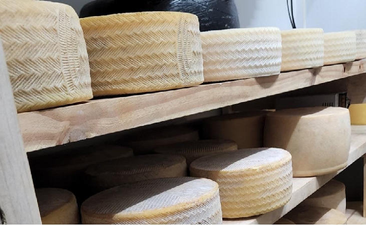 1° CURSO PRÁTICO DE QUEIJOS ARTESANAIS E REGIONAIS: PRODUÇÃO E MATURAÇÃO