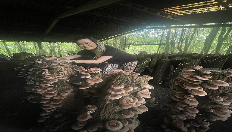 Curso Produção de Cogumelos